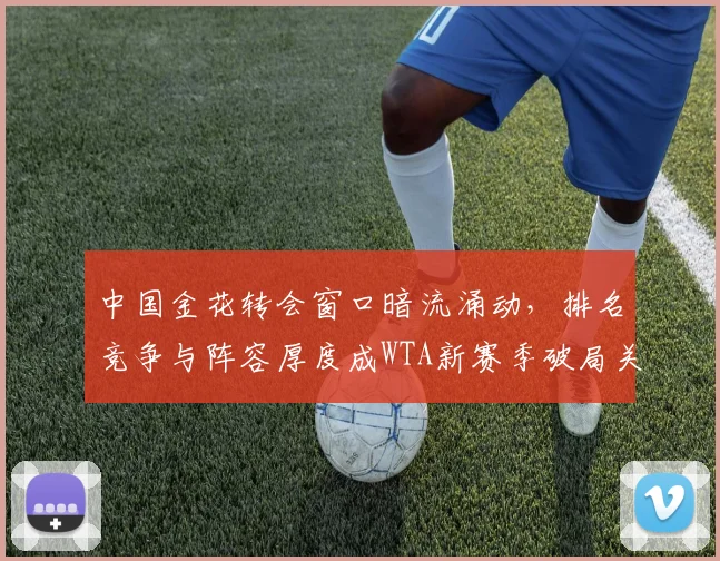 中国金花转会窗口暗流涌动，排名竞争与阵容厚度成WTA新赛季破局关键